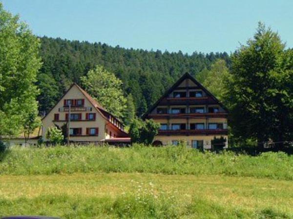 אלפירסבאך Gasthof Erlenhof מראה חיצוני תמונה