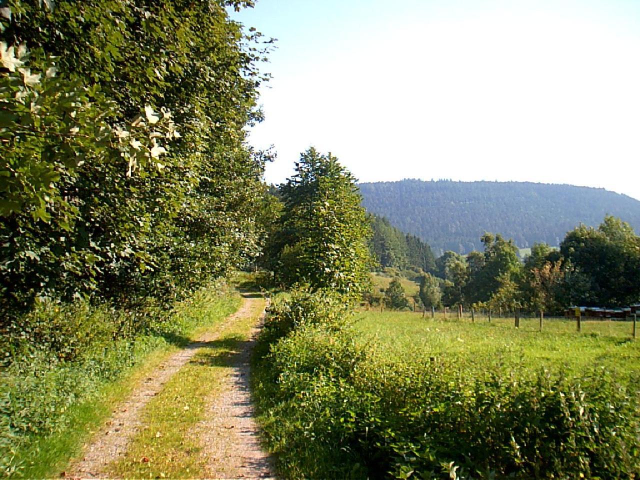 אלפירסבאך Gasthof Erlenhof מראה חיצוני תמונה